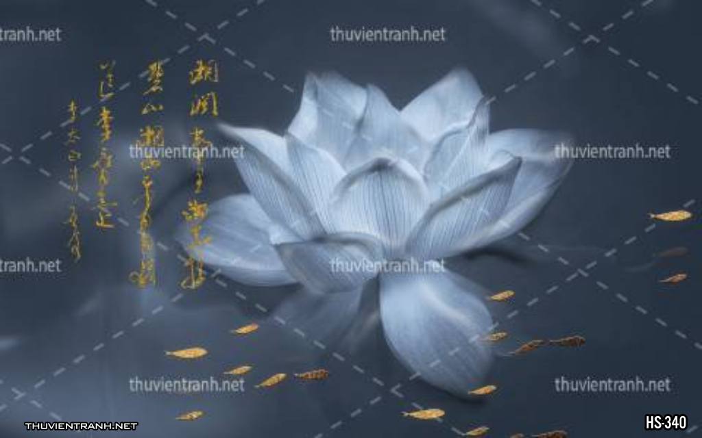 Tranh dán tường Hoa Sen - Kết quả tìm kiếm tranh tường