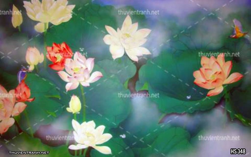 Tranh dán tường Hoa Sen - Kết quả tìm kiếm tranh tường