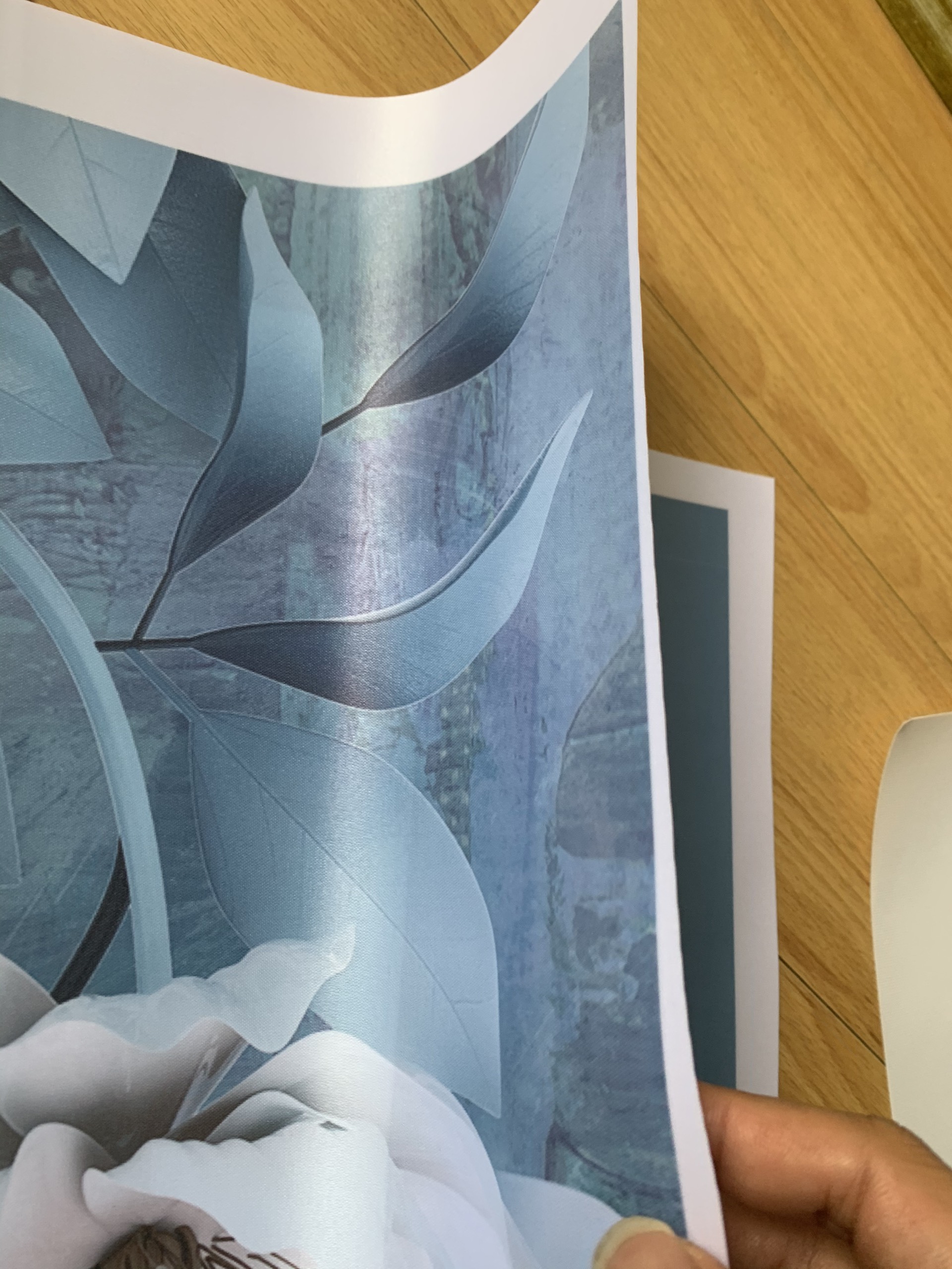 Video hướng dẫn: So sánh 2 chất liệu Vải Canvas (Lụa kim sa) và Vải Lụa Bóng