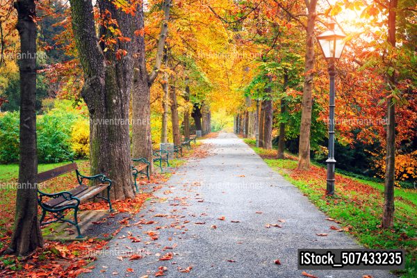 Tranh dán tường 3D Phong Cảnh-iStock_507433235 - Tranh tường chất lượng cao